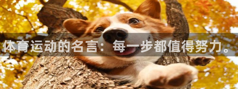 vsport体育官方正版app代理:体育运动的名言:每一步都