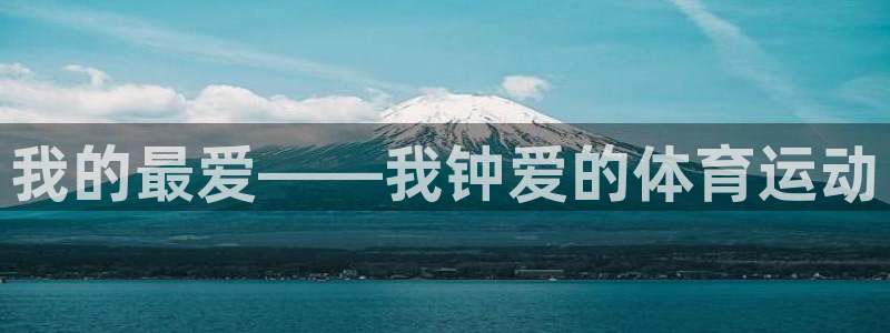 vsport体育官网下载是干嘛的公司:我的最爱——我钟爱的体