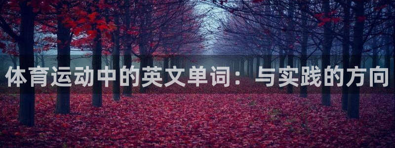 vsport体育官方正版app娱乐40996:体育运动中的英