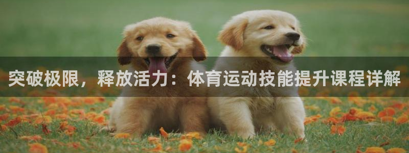 vsport体育官网下载招商:突破极限,释放活力:体育运动技